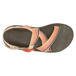 Chaco Men's Z Cloud Sandal - Scoop Dusk - Regular (D) -PeakStride Sports Sales CHAM JCH108677 012422 S23 TOP 1