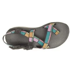 Chaco Women's Z Cloud 2 Sandal - Cobble Tea Rose - Regular (B) -PeakStride Sports Sales CHAW JCH109510 032822 S23 TOP 1